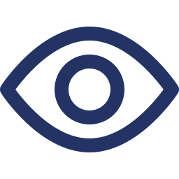 Vision